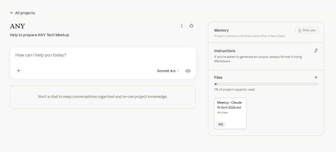 Claude Projects interface showing the ANY project with its memory panel, instructions, and attached files.